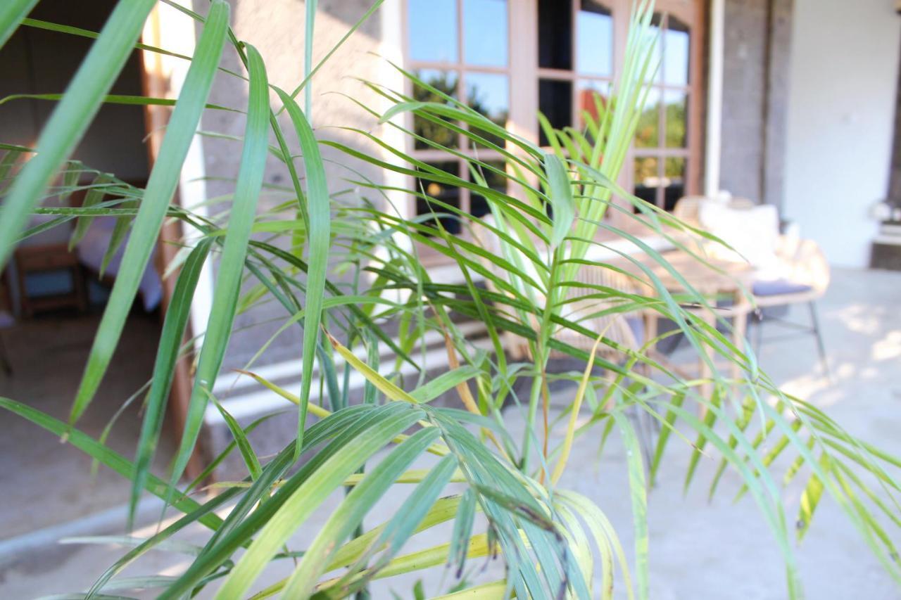 The Possible Guest house *